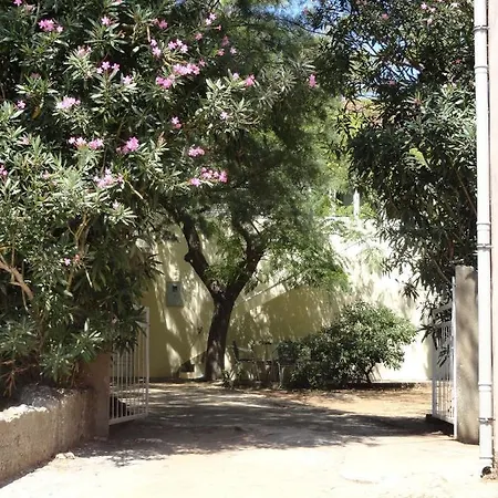 Seaside House Drace, Peljesac - 13117 Tatil Evi Janjina